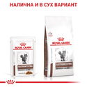 ROYAL CANIN Veterinary Cat Gastrointestinal Moderate Calorie Pouch 85 гр