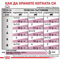 ROYAL CANIN Veterinary Cat Early Renal Pouch 85 гр