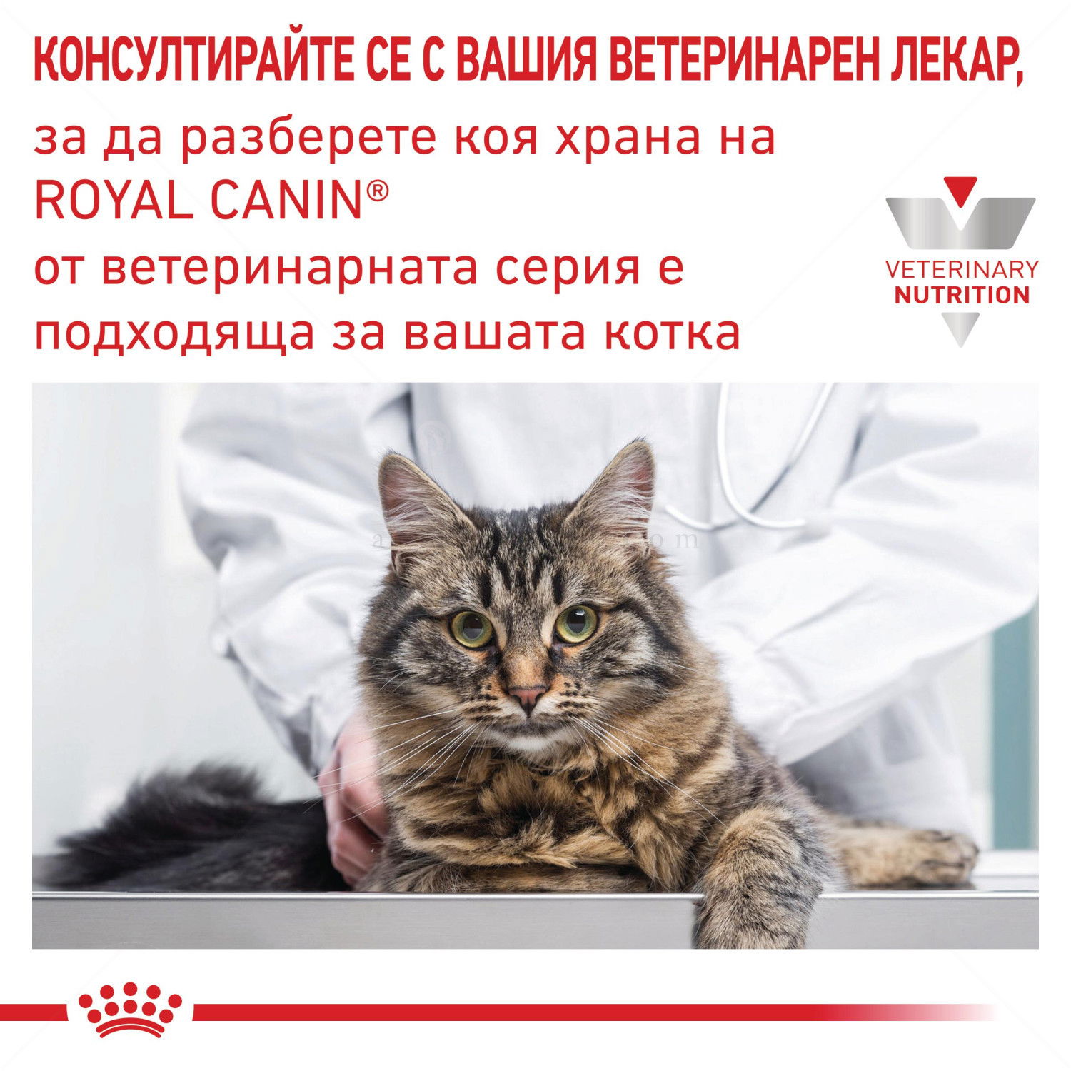 ROYAL CANIN Veterinary Cat Renal Pouch 85 гр
