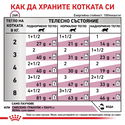 ROYAL CANIN Veterinary Cat Renal Beef Pouch 85 гр