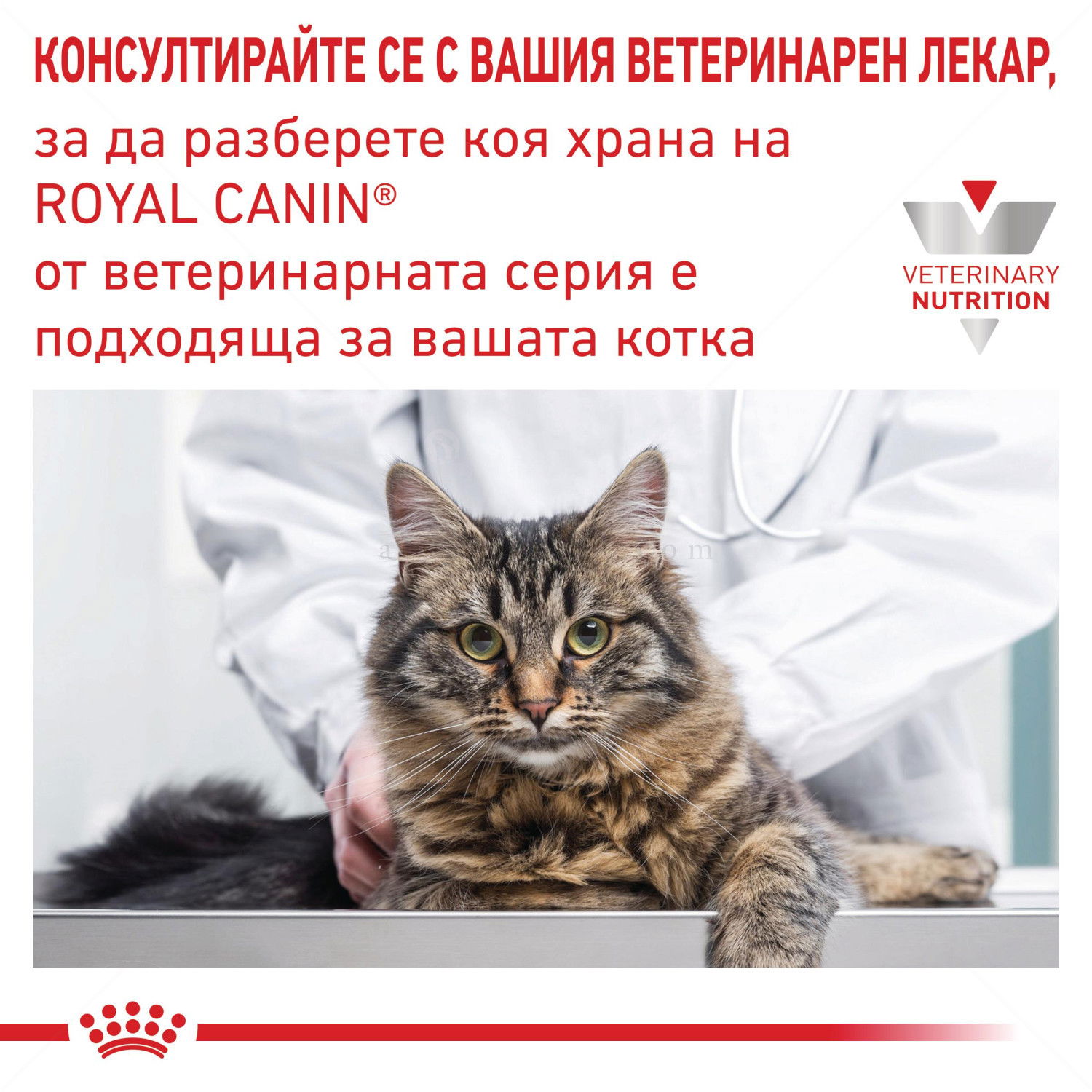 ROYAL CANIN Veterinary Cat Renal Beef Pouch 85 гр