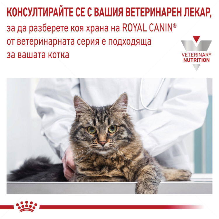 ROYAL CANIN Veterinary Cat Urinary S/O 400 гр