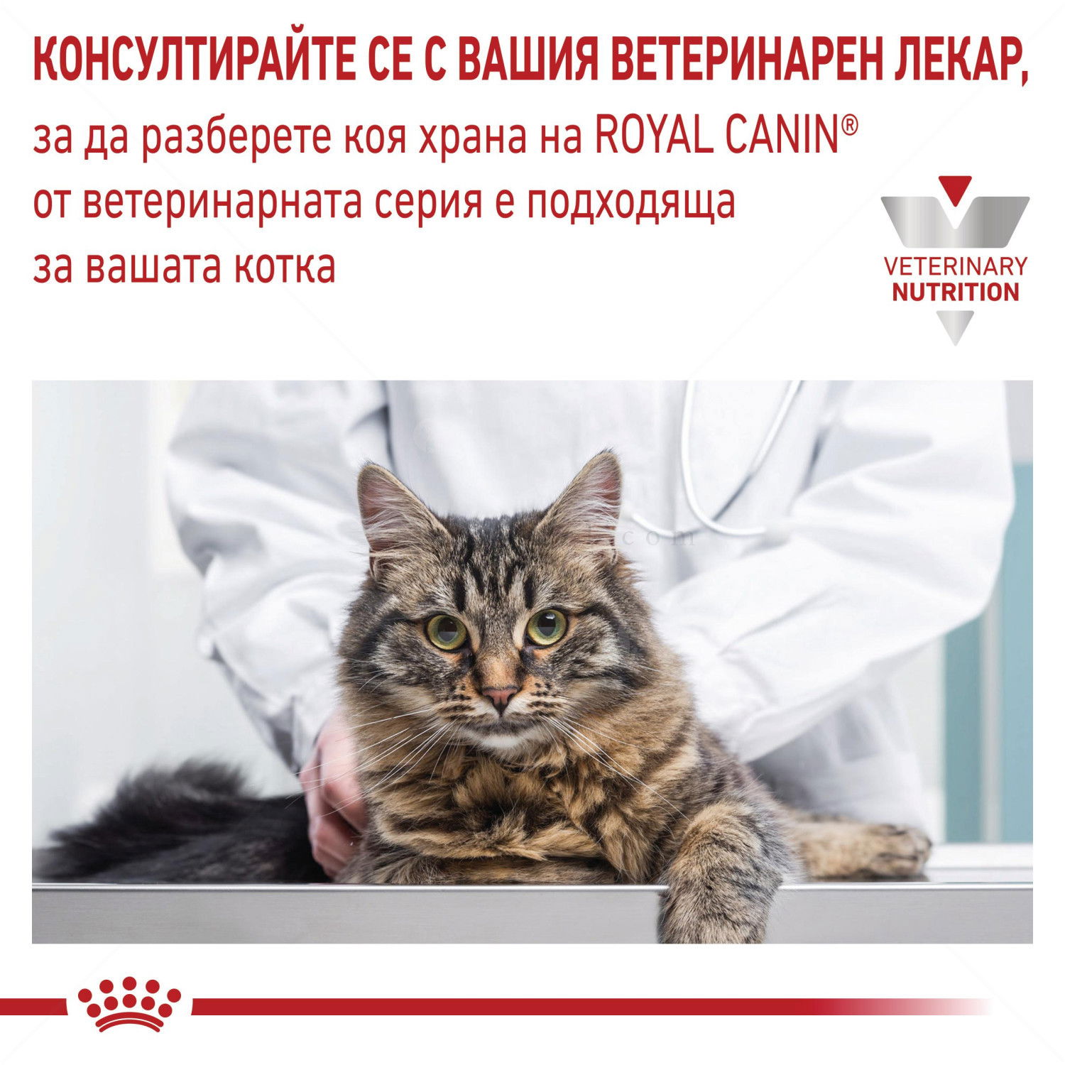 ROYAL CANIN Veterinary Cat Urinary S/O 400 гр