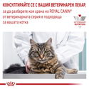 ROYAL CANIN Veterinary Cat Urinary S/O 3.500 кг