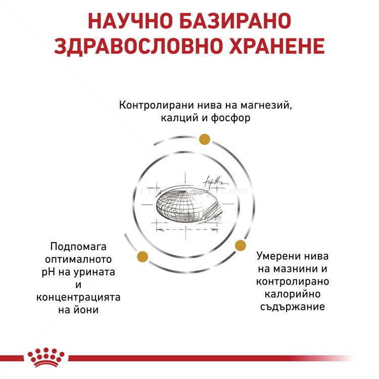 ROYAL CANIN Veterinary Cat Urinary S/O Moderate Calorie 1.500 кг