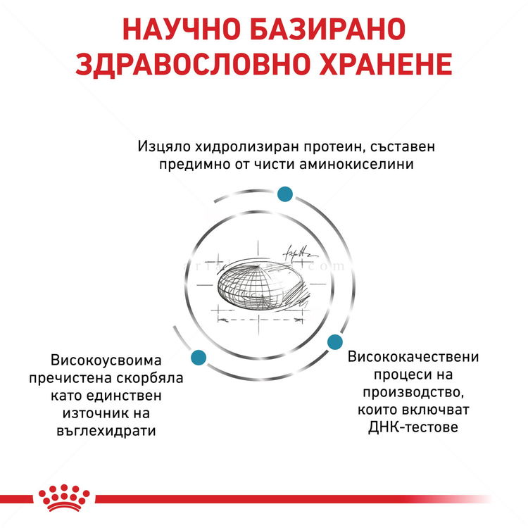 ROYAL CANIN Veterinary Cat Anallergenic 2 кг