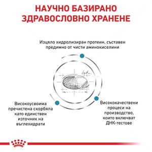 ROYAL CANIN Veterinary Cat Anallergenic 2 кг
