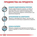 ROYAL CANIN Veterinary Cat Anallergenic 2 кг