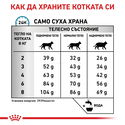 ROYAL CANIN Veterinary Cat Anallergenic 2 кг
