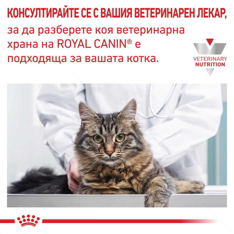 ROYAL CANIN Veterinary Cat Hypoallergenic 2.500 кг