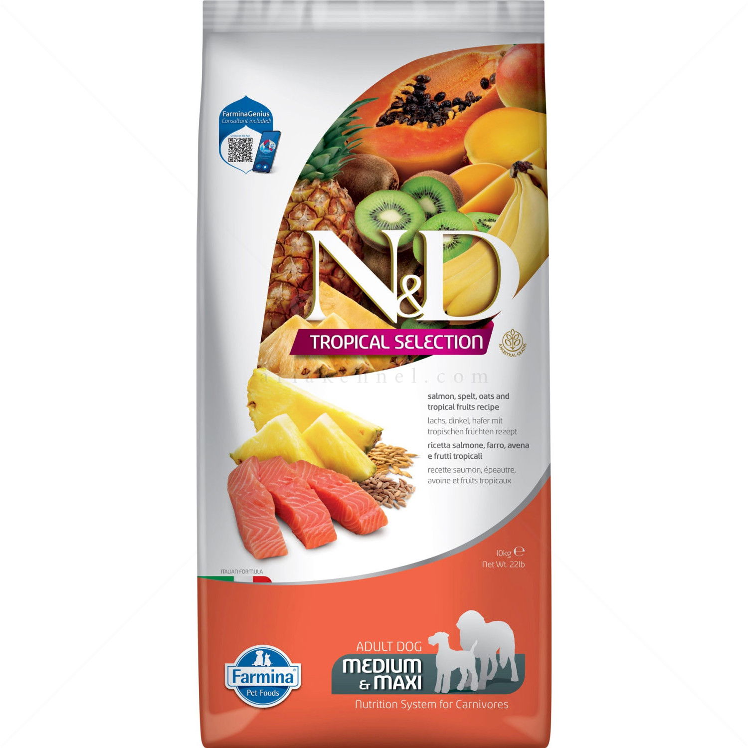 N&D Dog 10 кг Adult Medium&Maxi Salmon Tropical Selection