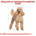 Пауч за израснали пудели ROYAL CANIN Poodle Adult