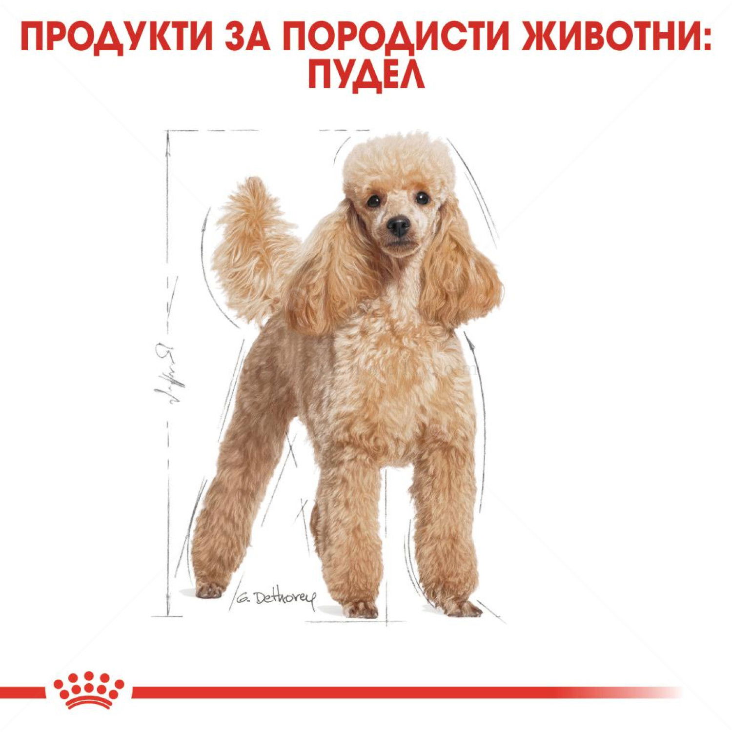 Пауч за израснали пудели ROYAL CANIN Poodle Adult