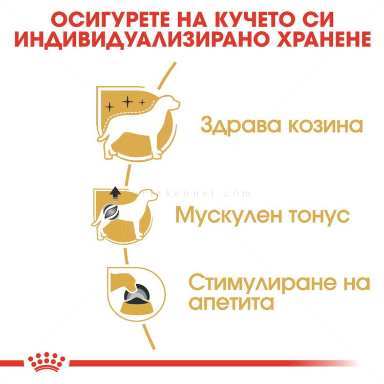 Пауч за израснали пудели ROYAL CANIN Poodle Adult