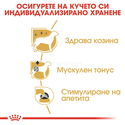 Пауч за израснали пудели ROYAL CANIN Poodle Adult