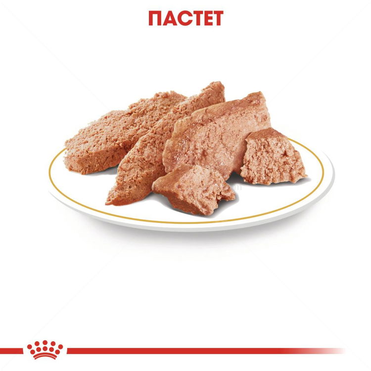Пауч за израснали йоркширски териери ROYAL CANIN Yorkshire Adult
