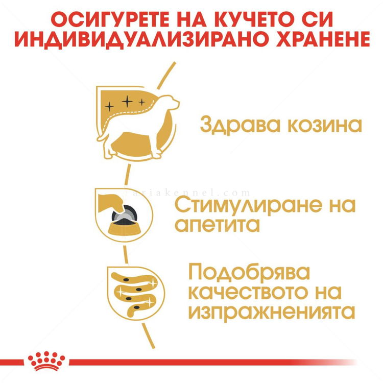 Пауч за израснали йоркширски териери ROYAL CANIN Yorkshire Adult