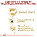 Пауч за израснали йоркширски териери ROYAL CANIN Yorkshire Adult