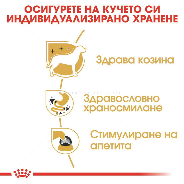 Пауч за израснали чихуахуа ROYAL CANIN Chihuahua Adult
