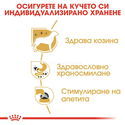 Пауч за израснали чихуахуа ROYAL CANIN Chihuahua Adult