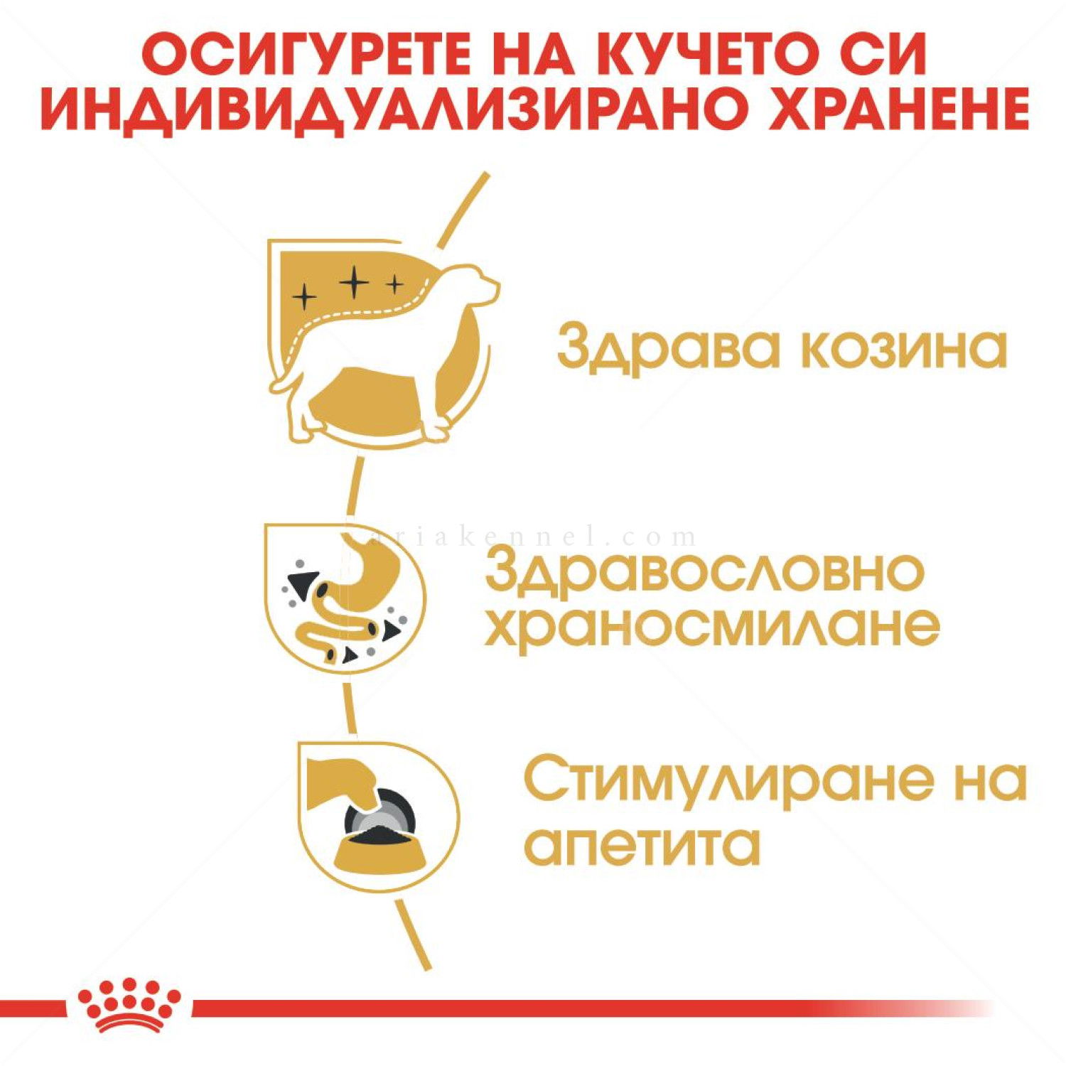 Пауч за израснали чихуахуа ROYAL CANIN Chihuahua Adult