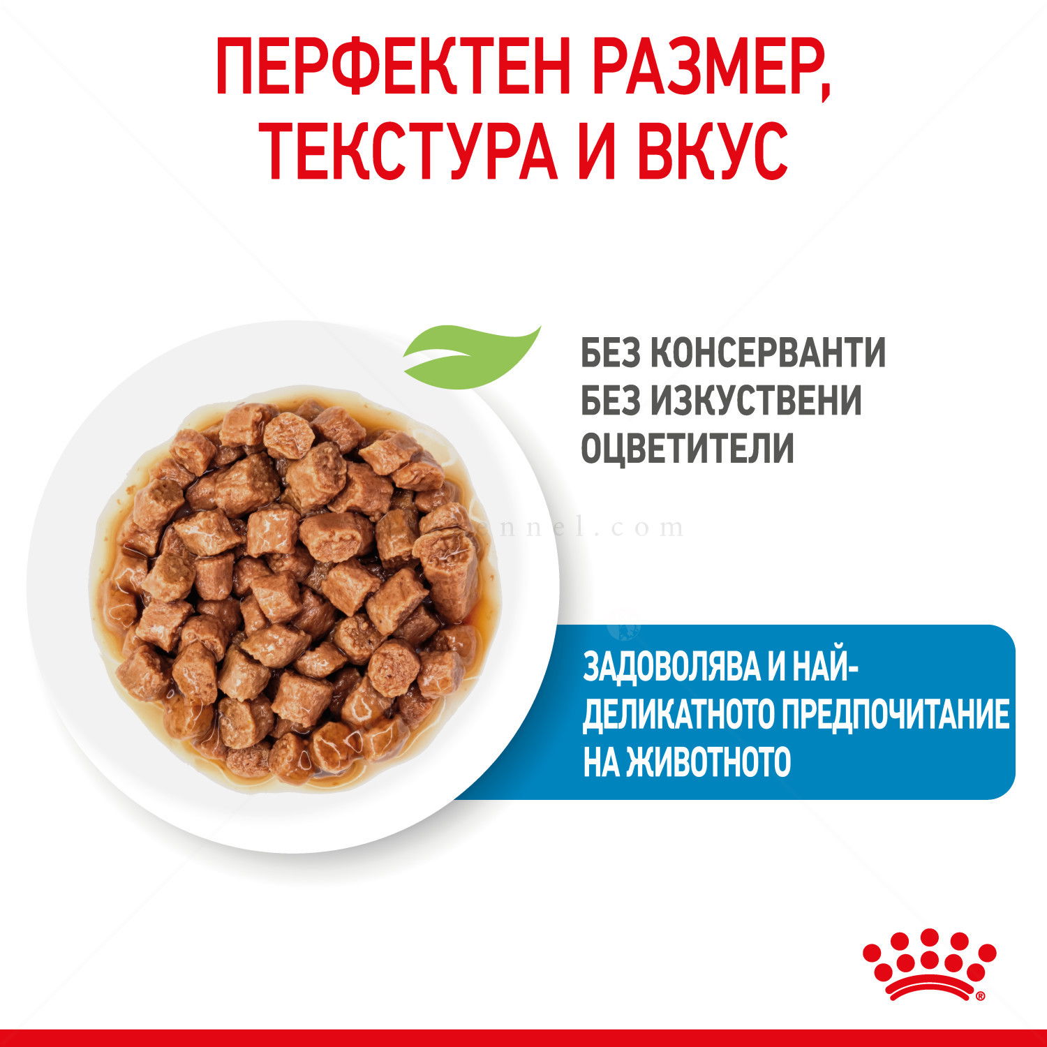 Пауч за подрастващи кученца от мини породи ROYAL CANIN X-Small Puppy