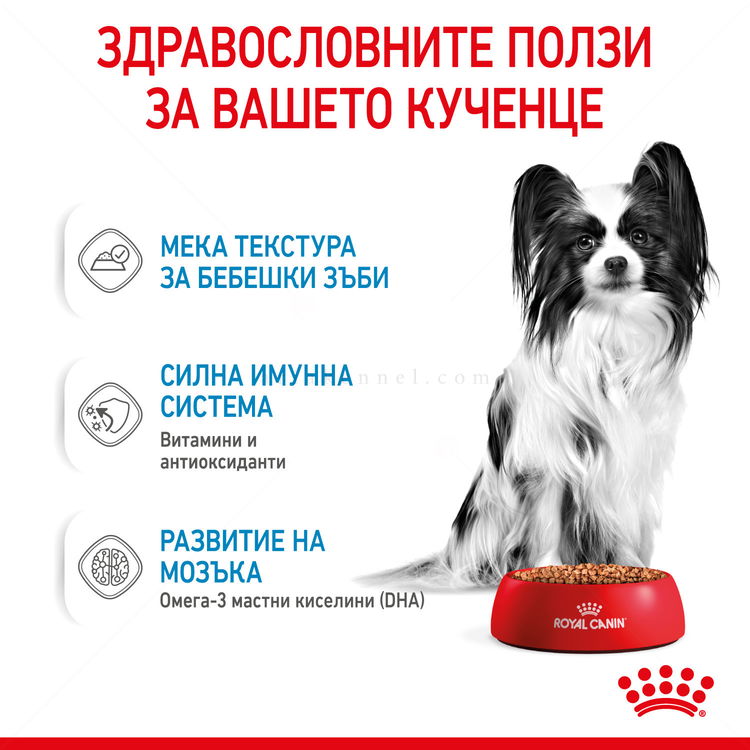 Пауч за подрастващи кученца от мини породи ROYAL CANIN X-Small Puppy