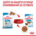 Пауч за подрастващи кученца от мини породи ROYAL CANIN X-Small Puppy