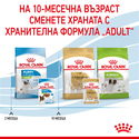 Пауч за подрастващи кученца от мини породи ROYAL CANIN X-Small Puppy