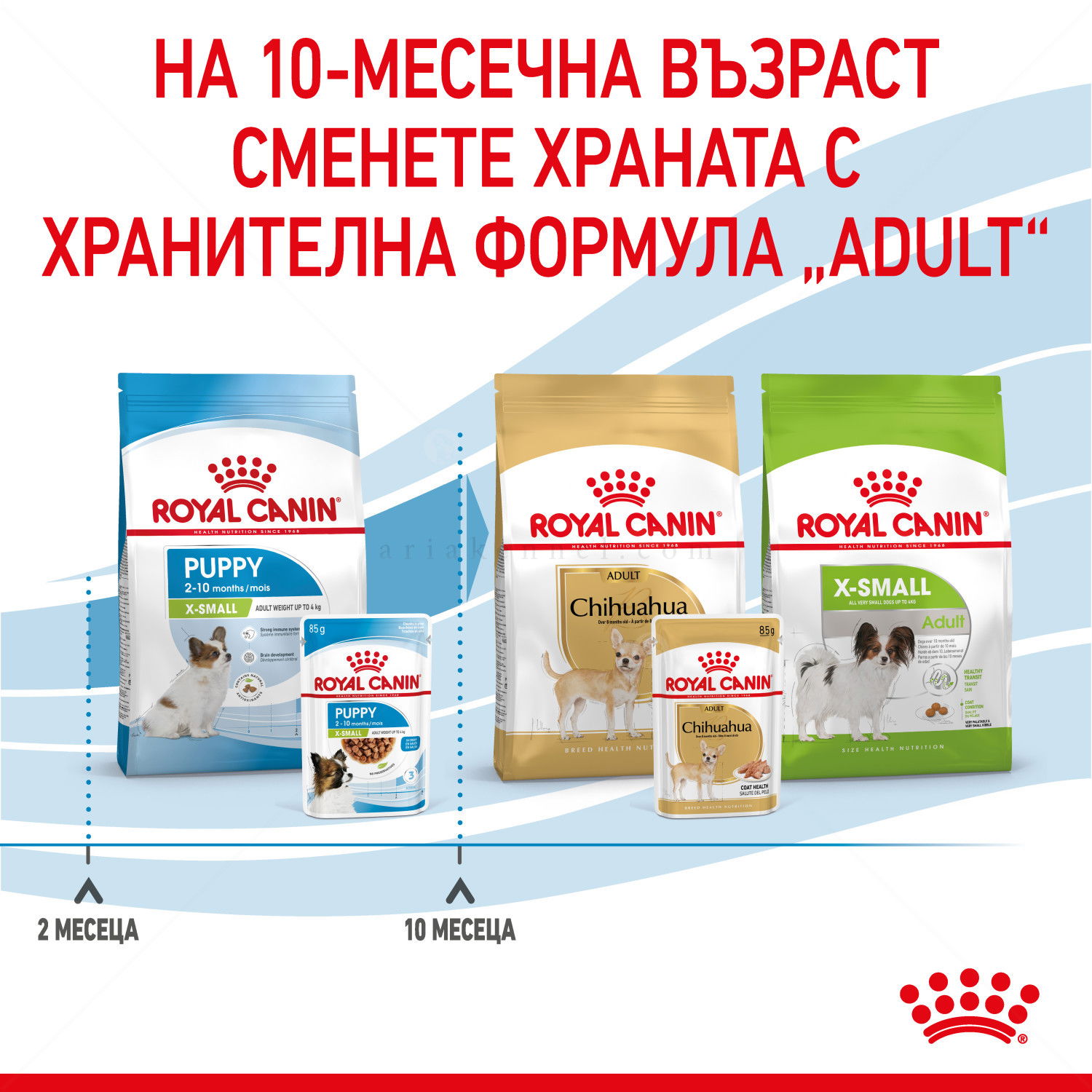Пауч за подрастващи кученца от мини породи ROYAL CANIN X-Small Puppy