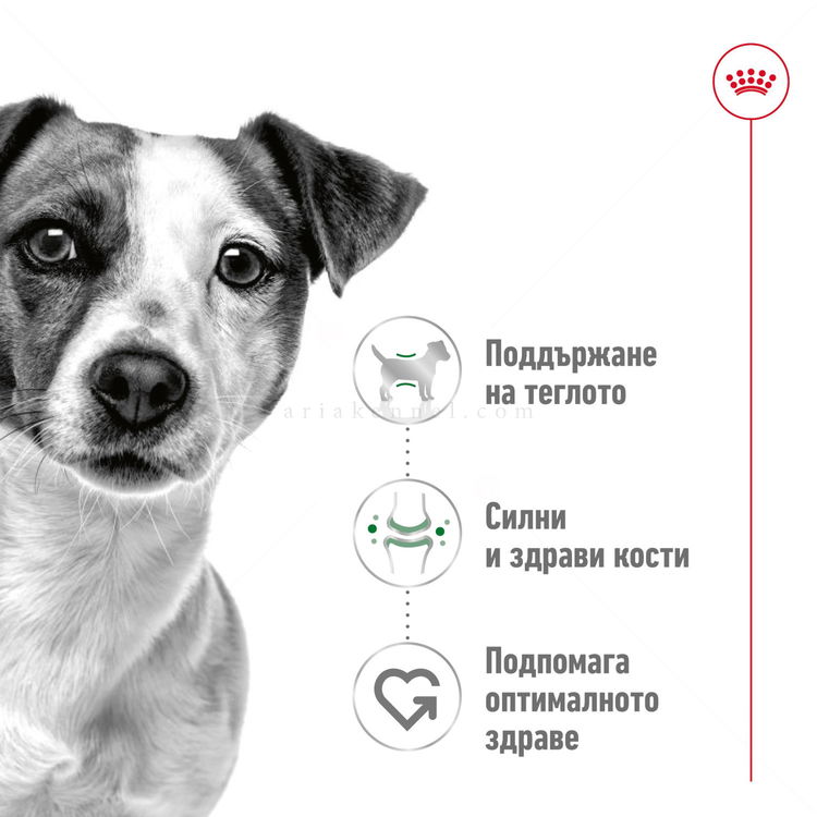 Пауч за израснали кучета от дребни породи ROYAL CANIN Mini adult
