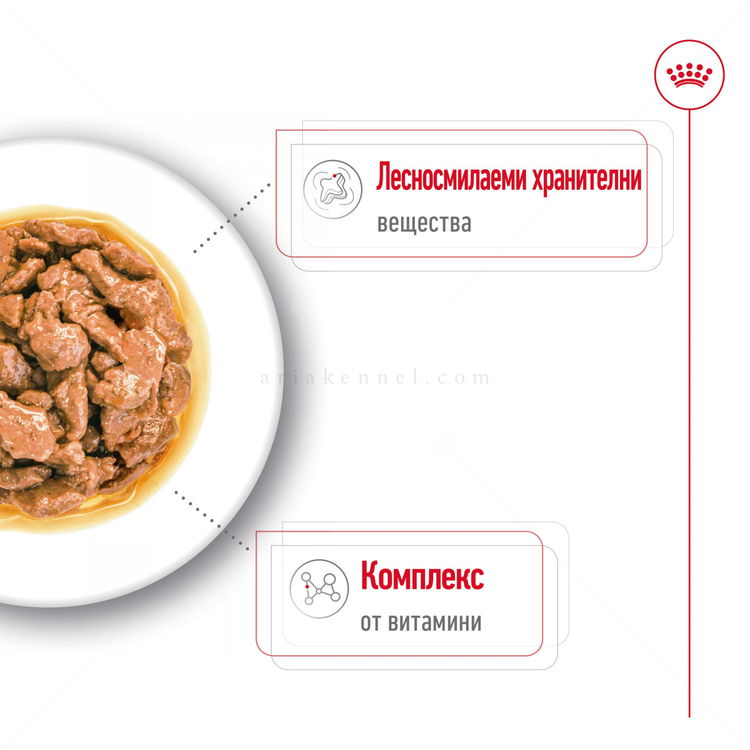 Пауч за израснали кучета от дребни породи ROYAL CANIN Mini adult