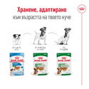 Пауч за израснали кучета от дребни породи ROYAL CANIN Mini adult