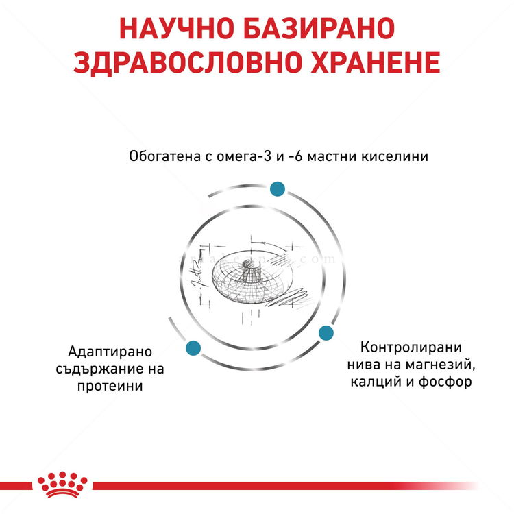 ROYAL CANIN Veterinary Cat Skin&Coat 1.500 кг