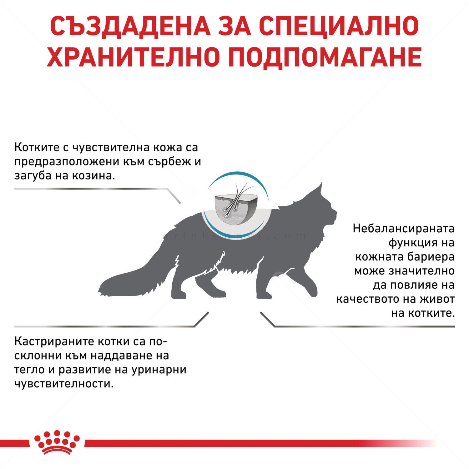 ROYAL CANIN Veterinary Cat Skin&Coat 1.500 кг
