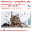 ROYAL CANIN Veterinary Cat Skin&Coat 1.500 кг