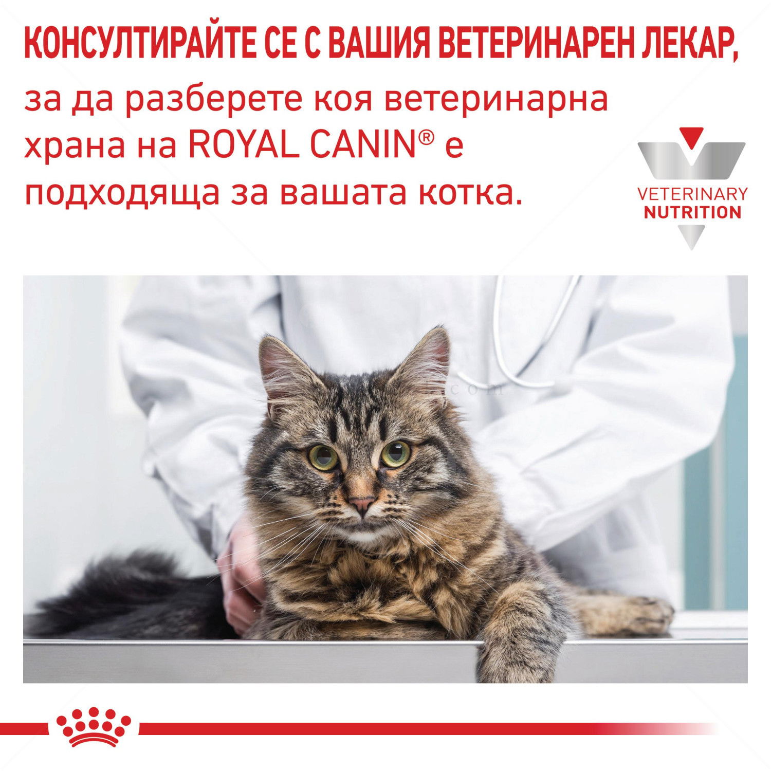 ROYAL CANIN Veterinary Cat Skin&Coat 1.500 кг