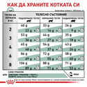 ROYAL CANIN Veterinary Cat Diabetic 400 гр