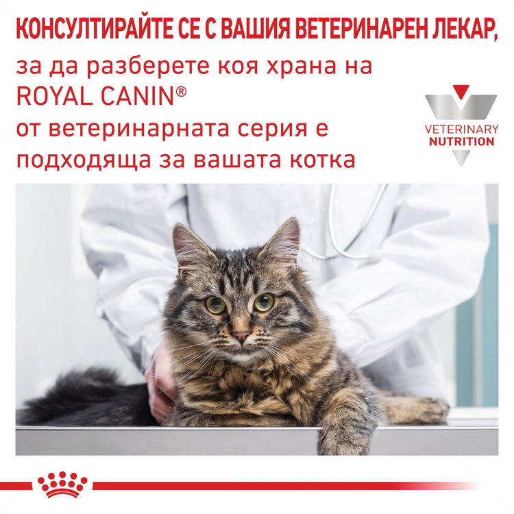 ROYAL CANIN Veterinary Cat Diabetic 400 гр