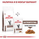 ROYAL CANIN Veterinary Cat Gastrointestinal 400 гр