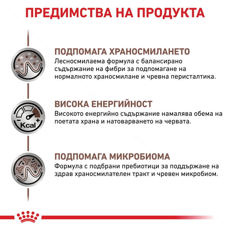 ROYAL CANIN Veterinary Cat Gastrointestinal 2 кг