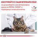 ROYAL CANIN Veterinary Cat Gastrointestinal 2 кг