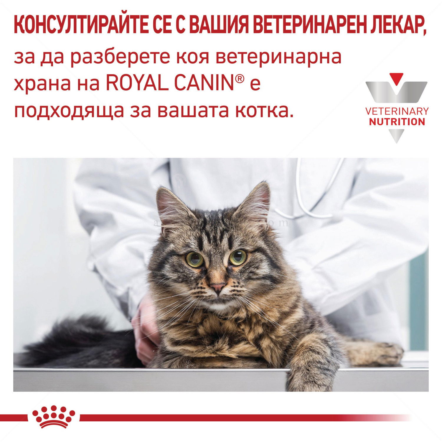 ROYAL CANIN Veterinary Cat Gastrointestinal Moderate Calorie 4 кг