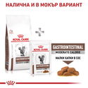 ROYAL CANIN Veterinary Cat Gastrointestinal Moderate Calorie 4 кг