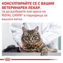 ROYAL CANIN Veterinary Cat Gastrointestinal Fibre Response 2 кг
