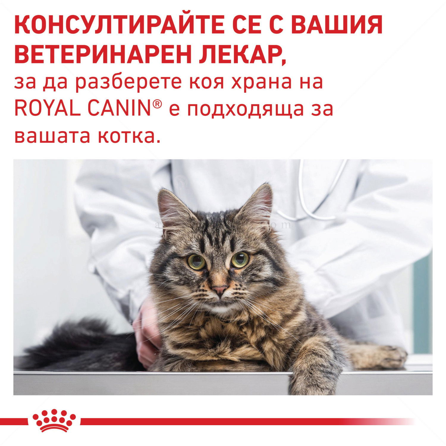 ROYAL CANIN Veterinary Cat Gastrointestinal Fibre Response 4 кг