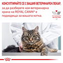 ROYAL CANIN Veterinary Cat Gastrointestinal Hairball 2 кг