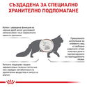 ROYAL CANIN Veterinary Cat Hepatic 2 кг