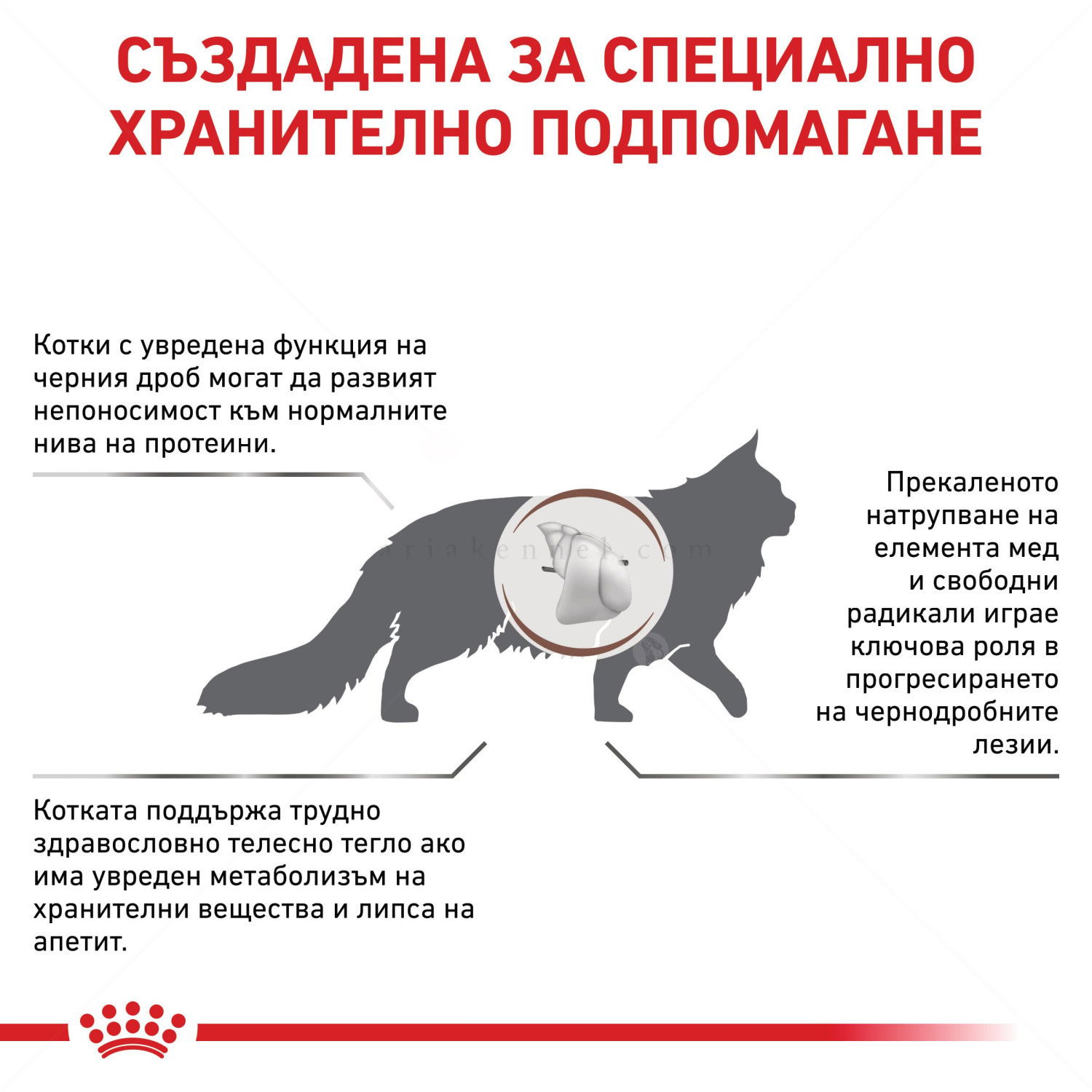 ROYAL CANIN Veterinary Cat Hepatic 2 кг