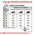 ROYAL CANIN Veterinary Cat Hepatic 2 кг